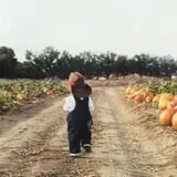Mesilla Valley Maze photo