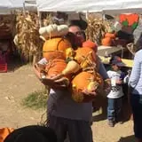 Mesilla Valley Maze photo