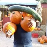 Mesilla Valley Maze photo