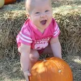 Mesilla Valley Maze photo
