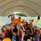 Mesilla Valley Maze photo