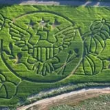 Mesilla Valley Maze photo