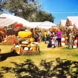 Mesilla Valley Maze photo