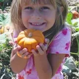 Mesilla Valley Maze photo