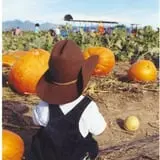 Mesilla Valley Maze photo