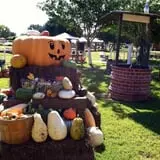 Mesilla Valley Maze photo