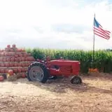 Mesilla Valley Maze photo