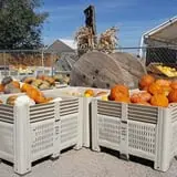 Mesilla Valley Maze photo