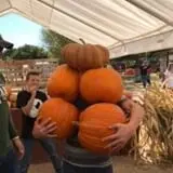 Mesilla Valley Maze photo