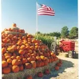 Mesilla Valley Maze photo