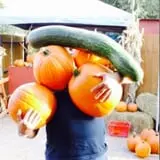 Mesilla Valley Maze photo