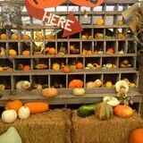Mesilla Valley Maze photo