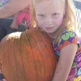 Mesilla Valley Maze photo