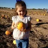Mesilla Valley Maze photo