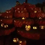 Mesilla Valley Maze photo