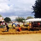 Mesilla Valley Maze photo