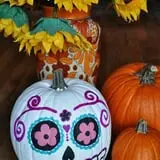 Mesilla Valley Maze photo
