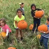 Mesilla Valley Maze photo