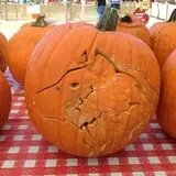 Mesilla Valley Maze photo