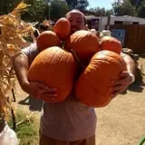 Mesilla Valley Maze photo