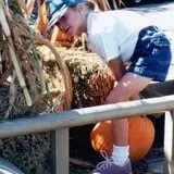Mesilla Valley Maze photo