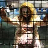 Houston Scream Fest photo