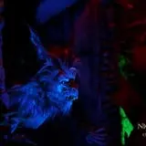 Nightmare on 13th photo