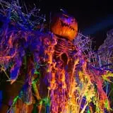 Nightmare on 13th