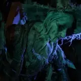 Nightmare on 13th photo