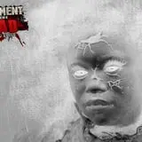Basement of the Dead Haunted House photo