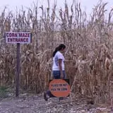 Helgoths Pumpkin Patch photo