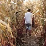 Helgoths Pumpkin Patch photo