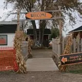 Helgoths Pumpkin Patch photo