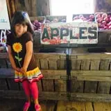 Meadow Brook Farm photo