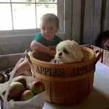 Meadow Brook Farm photo