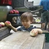 Meadow Brook Farm photo