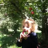 Meadow Brook Farm photo