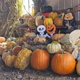 Farmer's Hayrides