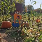Farmer's Hayrides  photo