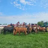 Farmer's Hayrides  photo