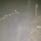 Ghost Boat Season of the Witch photo