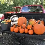 Huckleberry Trail Farm photo