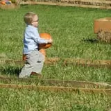 Huckleberry Trail Farm photo