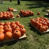 Huckleberry Trail Farm photo