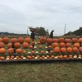Huckleberry Trail Farm photo