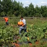 Huckleberry Trail Farm photo