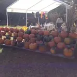 Huckleberry Trail Farm photo