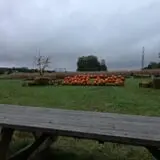 Huckleberry Trail Farm photo