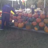 Huckleberry Trail Farm photo