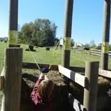 Huckleberry Trail Farm photo